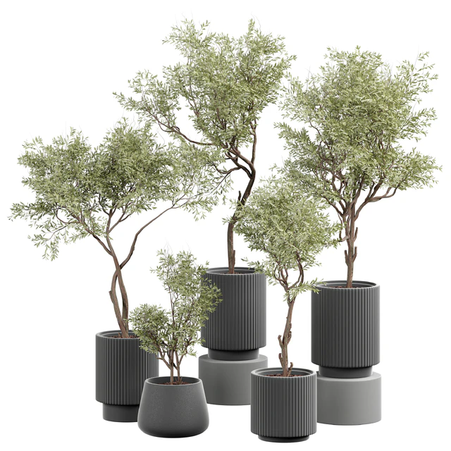 indoor Plant 404 — Скачать