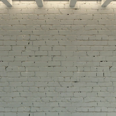 Brick wall. Old brick. 73 — Ver 3
