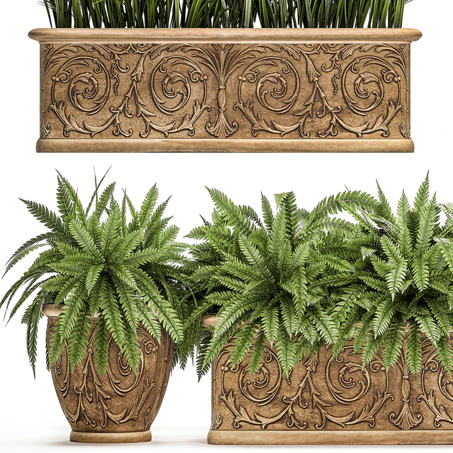Коллекция растений в уличных классических горшках вазонах с вензелями с папоротник, кусты, трава, клумба. Набор 496. — Скачать