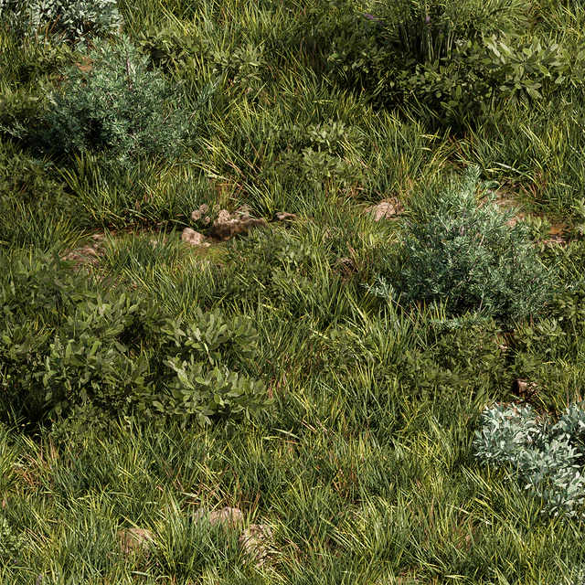Nature Meadow - Grass Set 30 — Descargar