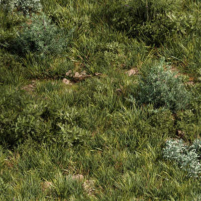 Nature Meadow - Grass Set 30 — Ver 5
