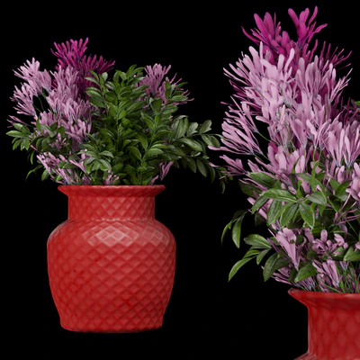 Collection plant vol 259 - Bouquet - flower — Ver 5