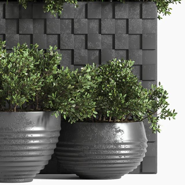 outdoor plant collection Box — Descargar