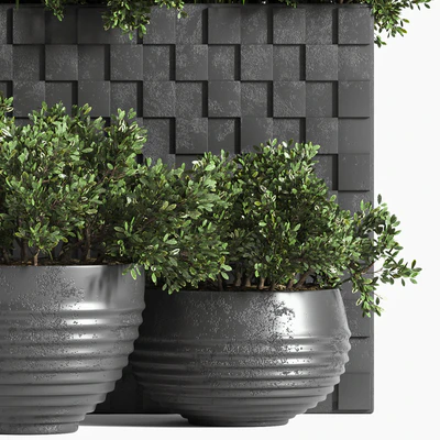 outdoor plant collection Box — Ver 5
