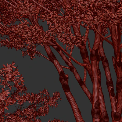 Set of Amelanchier Lamarckii Trees (Juneberry) (2 Trees) — Ver 3