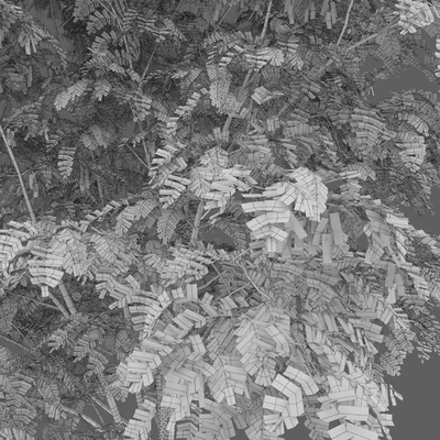 Robinia — Ver 7