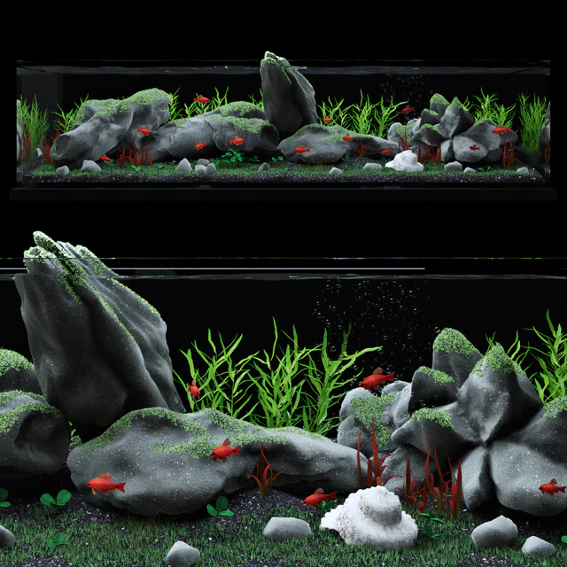 Aquarium — Скачать