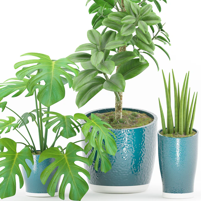 Plant 43 — Скачать