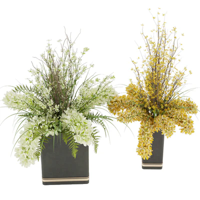 Collection plant vol 56 — Ver 4