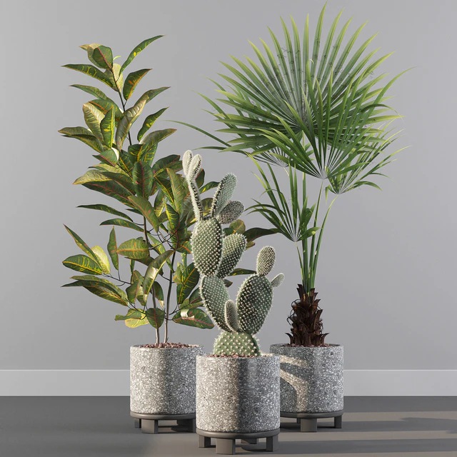 Plants collection 056 — Descargar