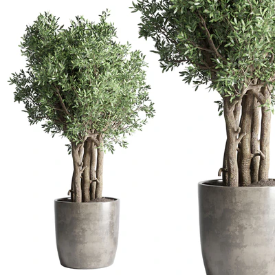 Collection Outdoor Indoor plant 53 concrete dirt vase pot tree bush — Ver 4