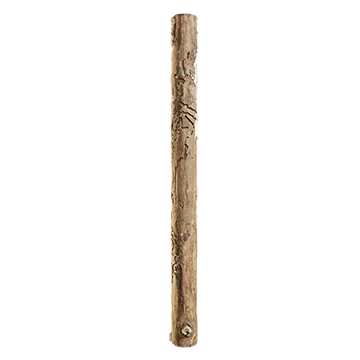 spruce branch bark 015 — Descargar