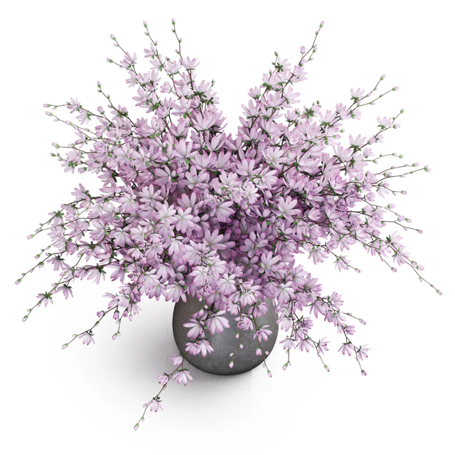 Bouquet 52 — Descargar