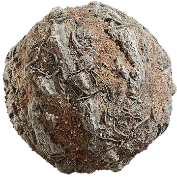 rocky forest floor 005 — Скачать