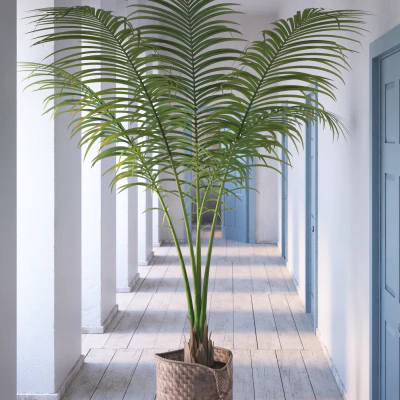 013 — скачать