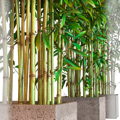 potted bamboo — Ver 3