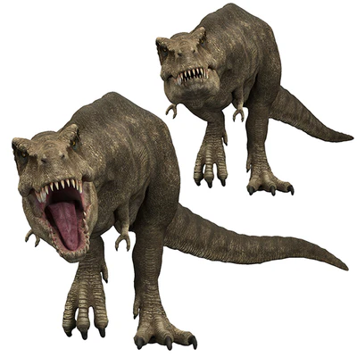 Tyrannosaurus rex — Вид 1