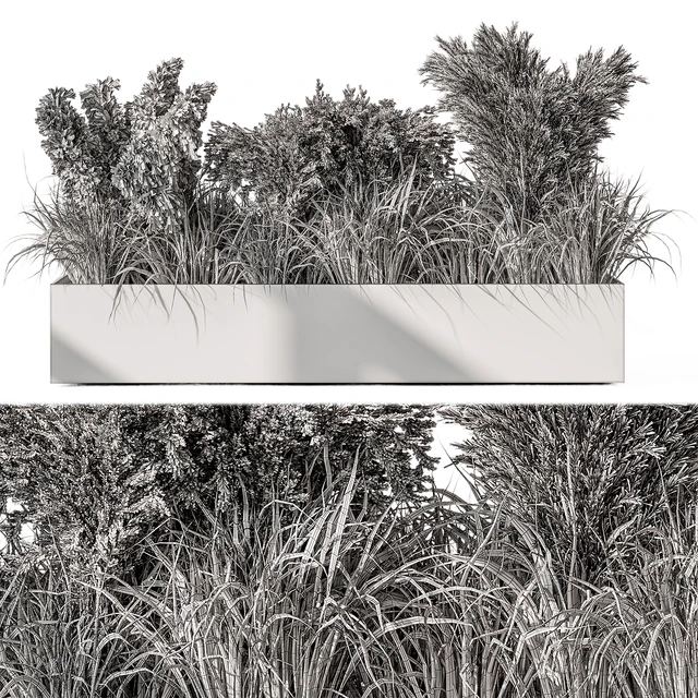 Pampas Plants - Outdoor Plants Set 433 — Descargar