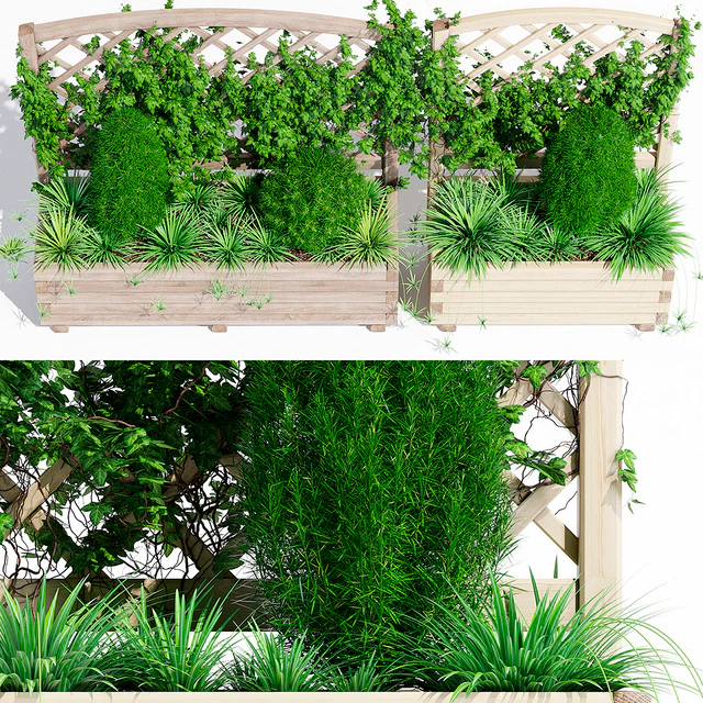 Toulouse planter — Descargar