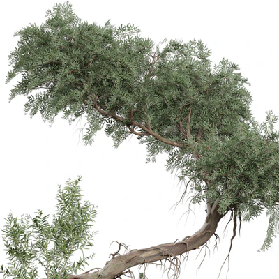 Outdoor Plant 180 — Ver 3