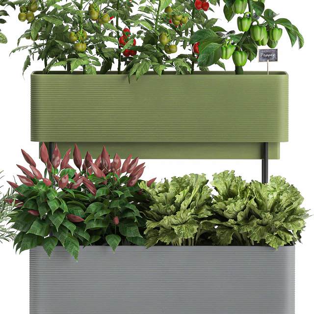 Collection of potted plants Kitchen garden, vegetables, tomatoes, peppers, herbs, Rosemary, lettuce, Lettuce, garden bed. Set 1059. — Descargar