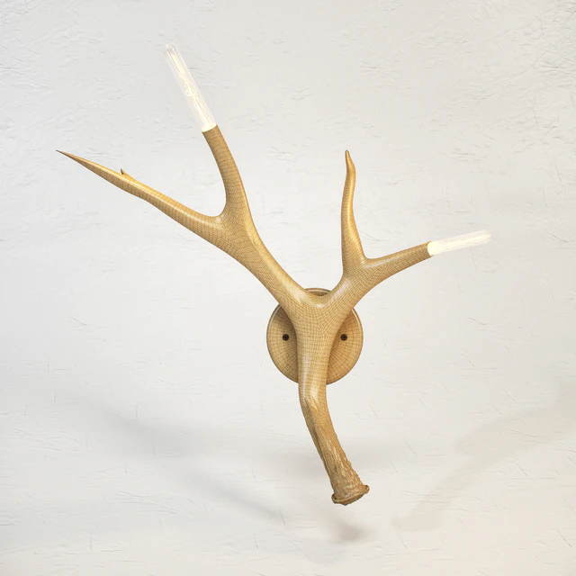 ROLL and HILL Superordinate Antler Sconce by Jason Miller 3D model — Descargar