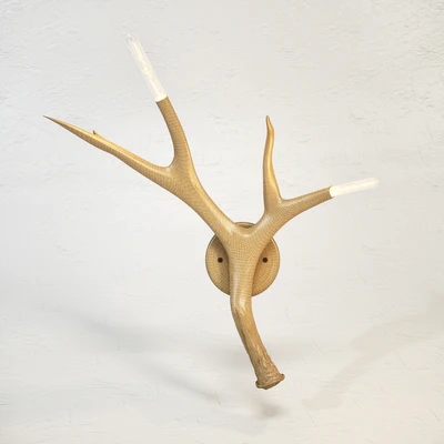 ROLL and HILL Superordinate Antler Sconce by Jason Miller 3D model — Ver 3