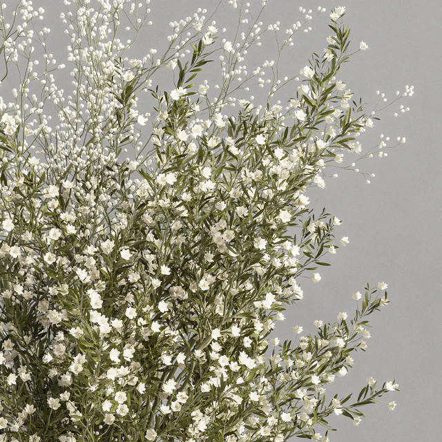 plants bouquet vase 16 — Descargar