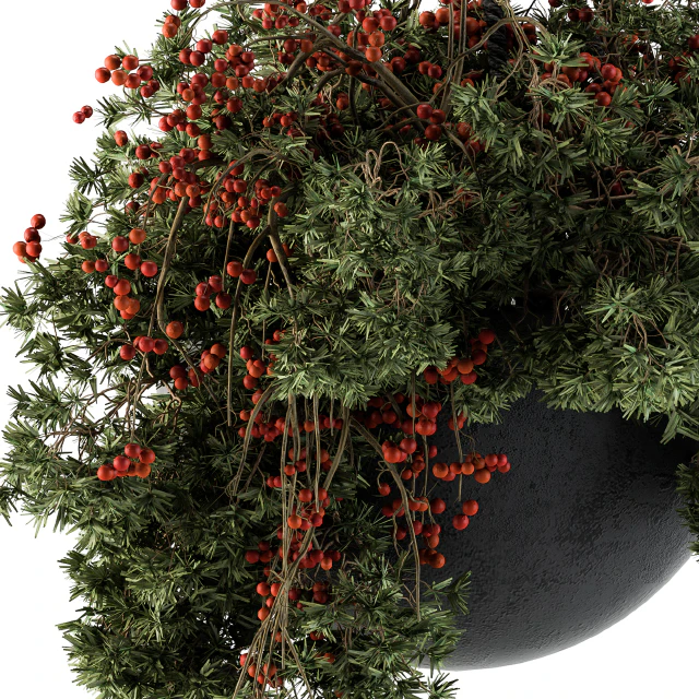 Hanging Pot plant - Set 102 — Descargar