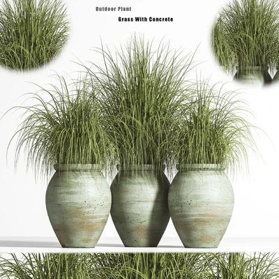 Outdoor Plant set 01 — Вид 1