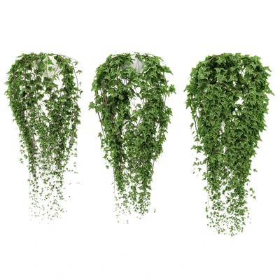 Ivy in pot — Ver 1