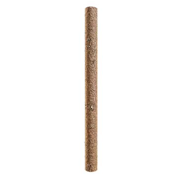 spruce branch bark 003 — Descargar