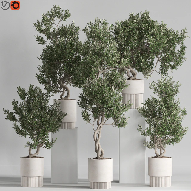 Plants collection 735 — Descargar