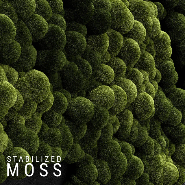 Stabilized Moss 3 — Descargar
