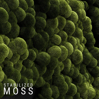 Stabilized Moss 3 — Ver 1
