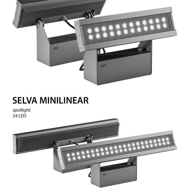Martini Light - SELVA Family — Скачать