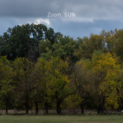 Cloudy panorama with autumn trees. 2 pcs — Ver 7