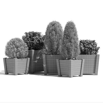 Hardwood planters — Вид 3