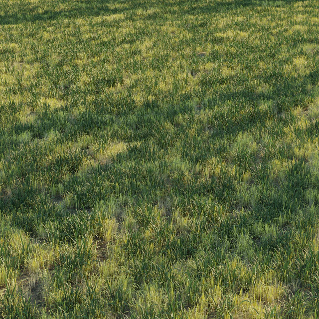Uncut forest grass collection 03 — Descargar