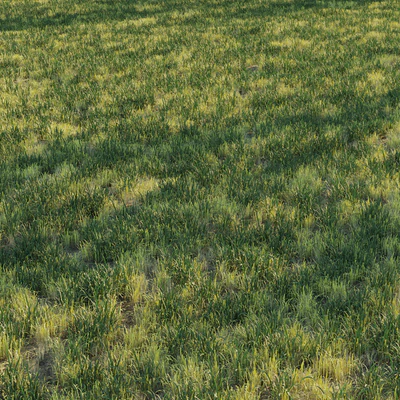 Uncut forest grass collection 03 — Ver 3