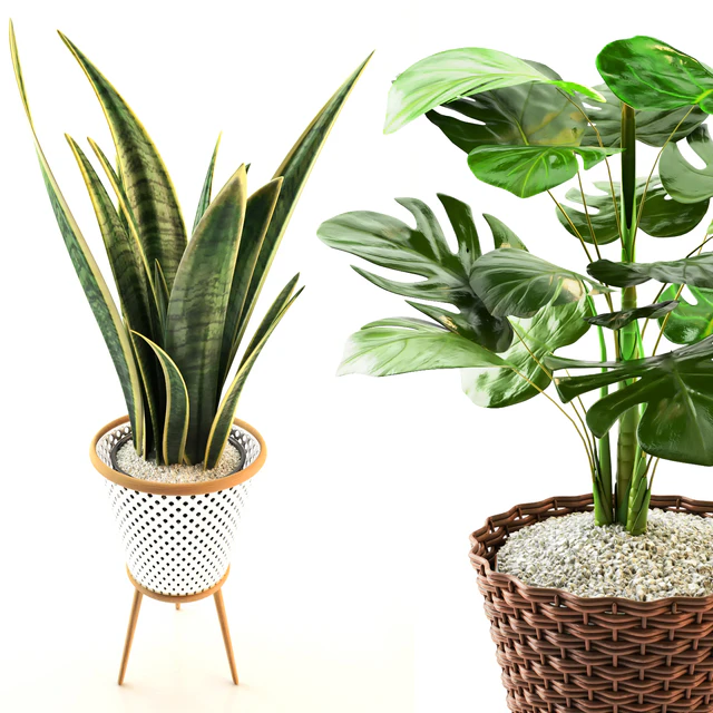 plant collection set 02 — Скачать