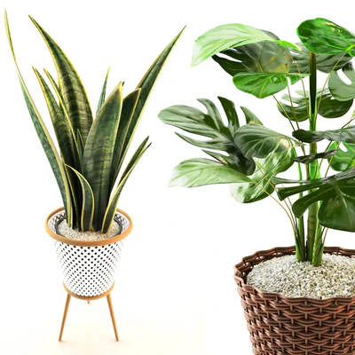 plant collection set 02 — Вид 3