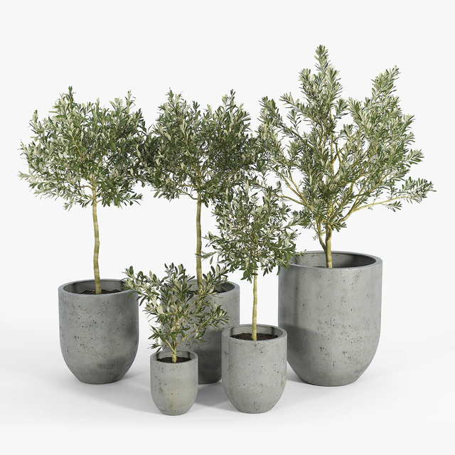 Neo Planter, Extra Small, Lead — Скачать