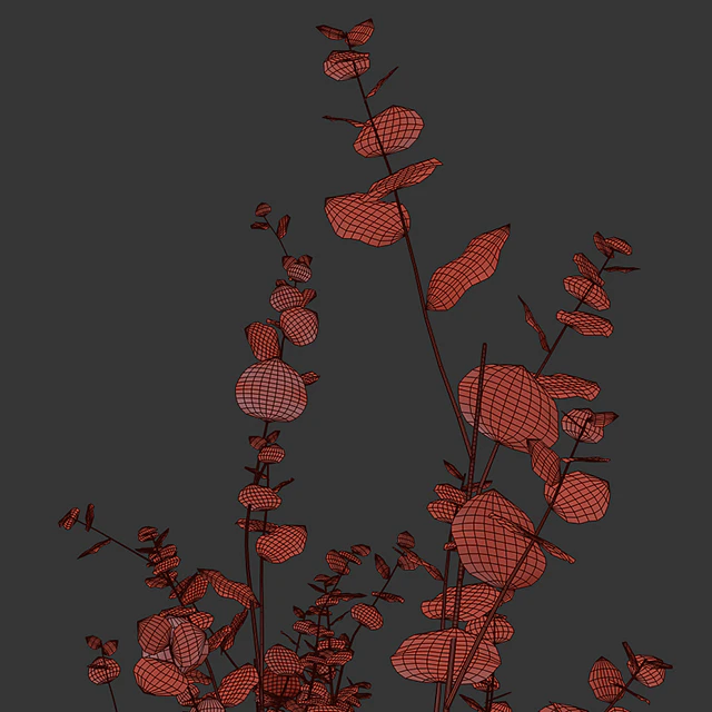 Eucalyptus branches in a green vase — Descargar