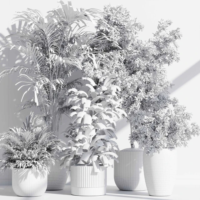 indoor plant set 85 — Скачать