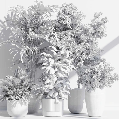 indoor plant set 85 — Вид 5