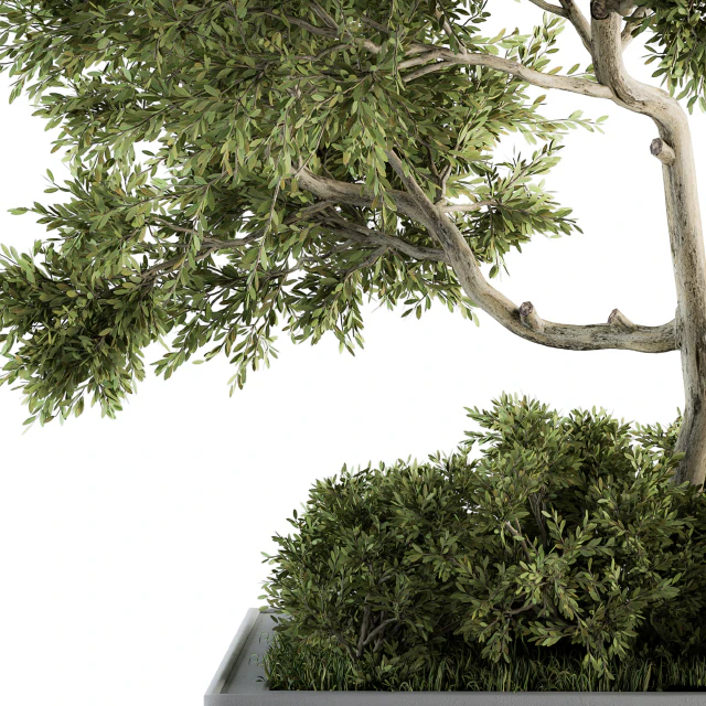 Garden set Tree and Bush - Garden Set 13 — Descargar
