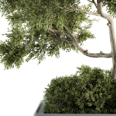 Garden set Tree and Bush - Garden Set 13 — Ver 5