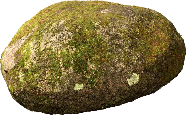 nordic forest rock small 001 — Descargar