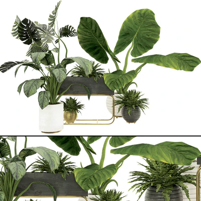 Plant Collection Set 07 — Вид 1